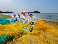 제1회 신안전국사진촬영대..