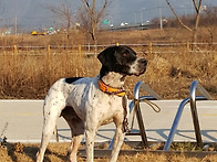 닉이라고 합니다