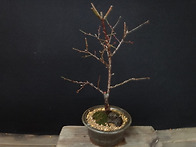 꽃님이님 보셔요...