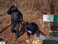 시산제