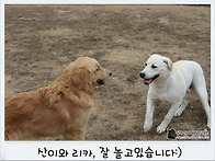 추워도 좋아요~