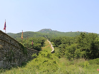 여름시