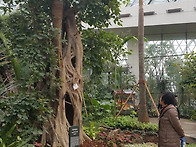 서울식물원(강서구 소재)
