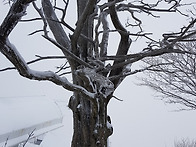 겨울산행