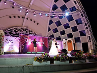 사랑나눔 페스티벌 콘서트..