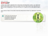 음파치료(音波治療)