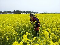 유채꽃밭에서~~