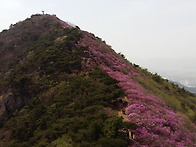 영취산