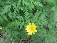 자연휴양림에서... 이름 ..