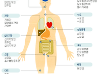 알코올 의존증