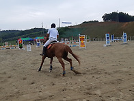 제70회충남도민체전