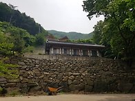 오서산(2019-6-1)