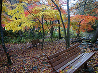 순창 강천산2