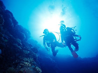 천혜의 수중환경을..