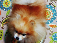 냉장고 지킴이 ~~