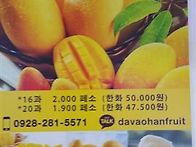 망고 수출 사업을..