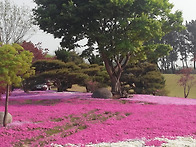 늘푸른 수목원 참 예뻐