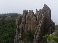 ((제42차 부산대선..