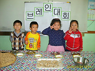 11월의 브레인대회..