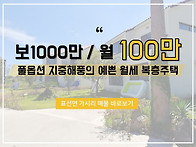 [가시리/보1000만/월100..