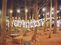 나만의 가을제주도 여행 ..