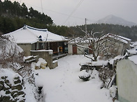 초호리-기억들날까?