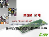 msm사업 계획서