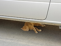 요양원의 치~~~타