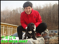 미키 자견을 보내..