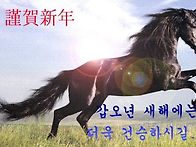 갑오년(2014년)