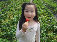 밀양 딸기체험농장, 가족 체험 프로그램, ..