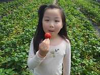 밀양 딸기체험농장, 가족 체험 프로그램, ..