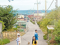 나는보리[대구영화/대구연..