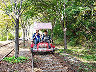 2019년 가을야유회 [강촌..