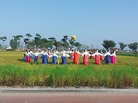 김제지평선축제 사진