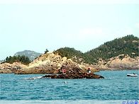 바다 풍경