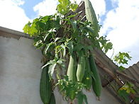 손들은 싰으셨는지...