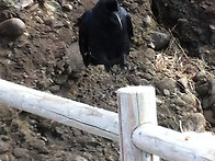 &#36234;&#21069;&#28023;&#23736;에서 만난 &#40165;