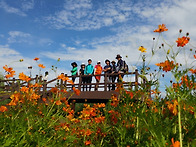 2016.8. 27 희경련 운길산..