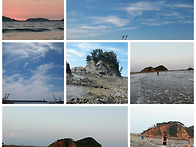 태안 곰섬캠핑장