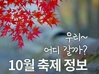 10월 축제 정보