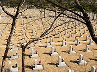 화장과 매장의 필요성