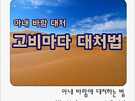 아내의 바람_고비마다 대처..