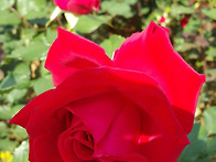 그중에 그대를만나..