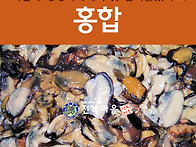 [홍합] 생 홍합살 2kg