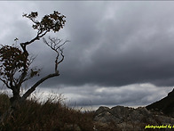 영남 알프스에서 2