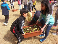 [스쿨팜]학현 초등학교 2..