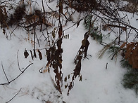 정기산행 사진 모음 2