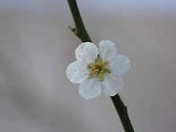 2016.04.01 아이파크에 핀..