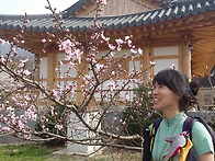 팔영산 5 (별따소..